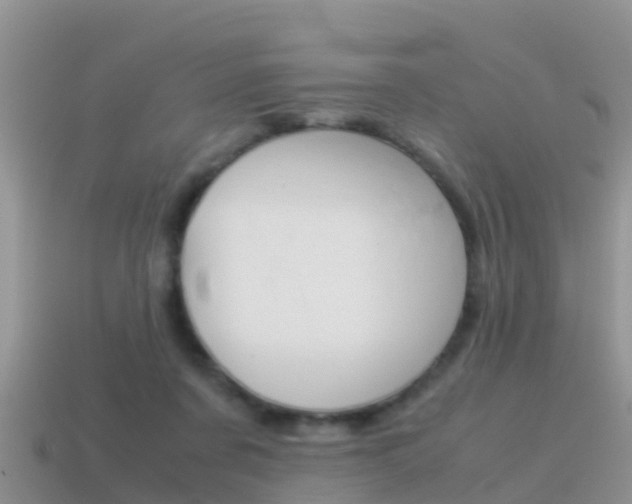 X0000115500311200911061028