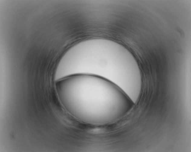 X0000115500312200911061028