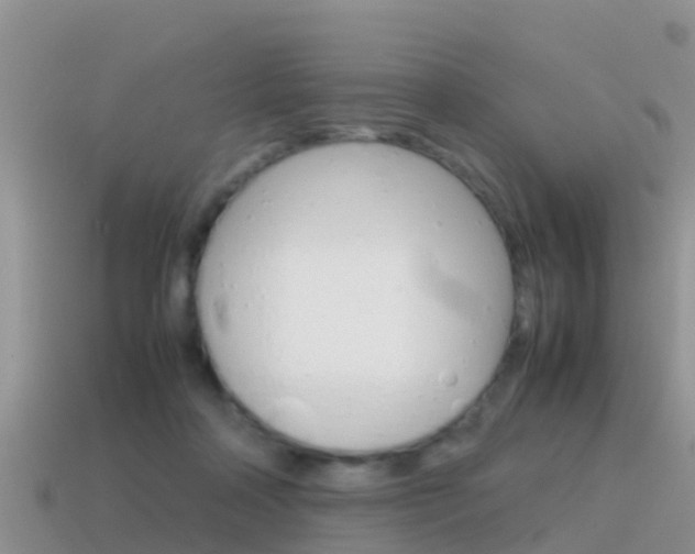 X0000115500314200911061028
