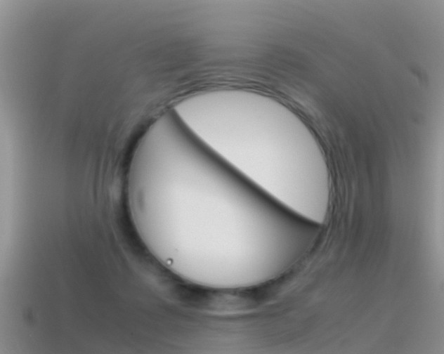 X0000115500315200911061028