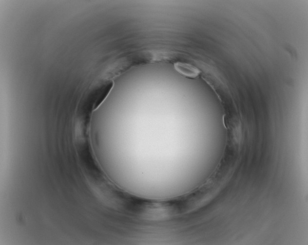 X0000115500316200911061028