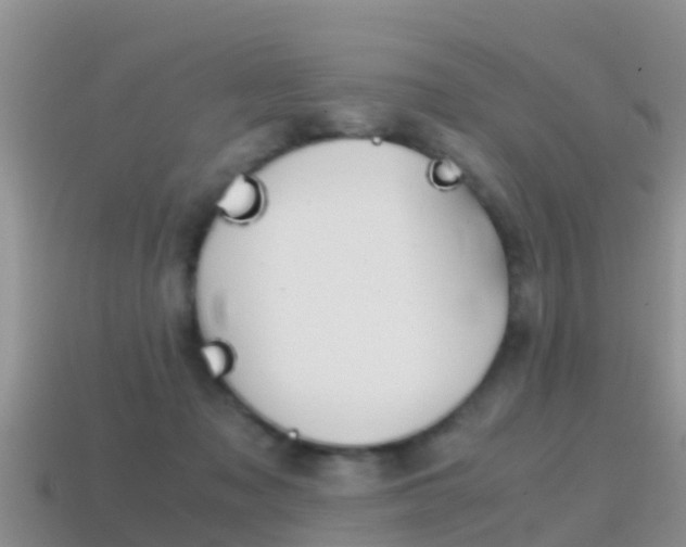 X0000115500317200911061028