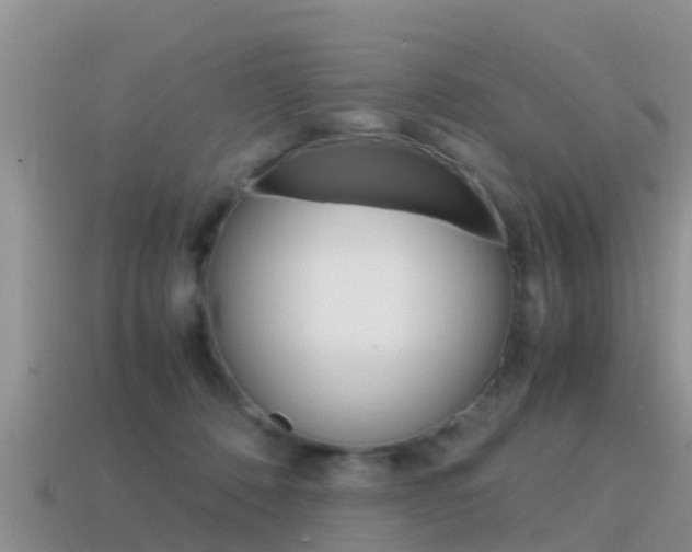X0000115500320200911061027