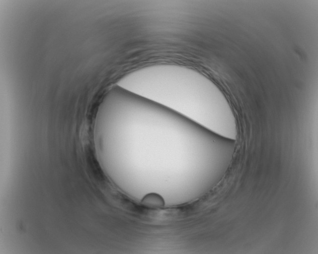 X0000115500323200911061027