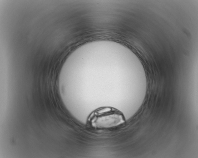 X0000115500324200911061027