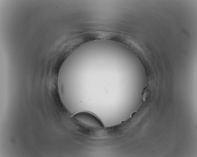 X0000115500325200911061027