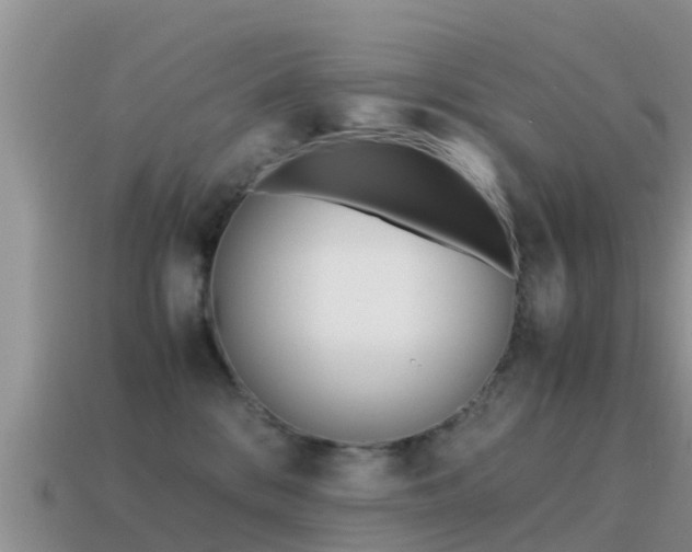 X0000115500328200911061027