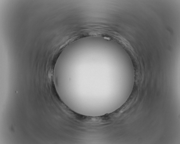 X0000115500329200911061027