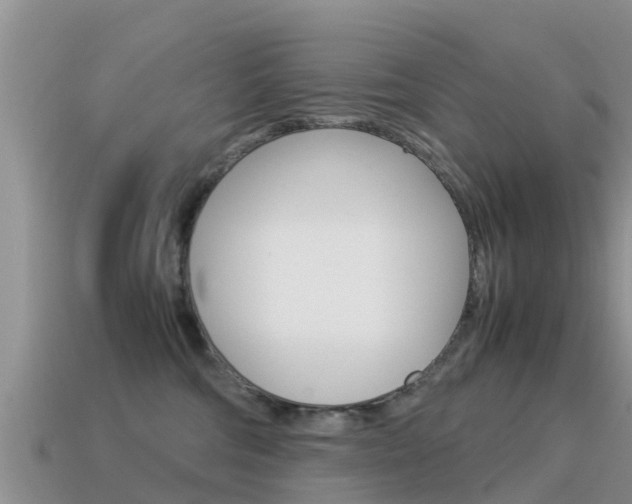 X0000115500330200911061027
