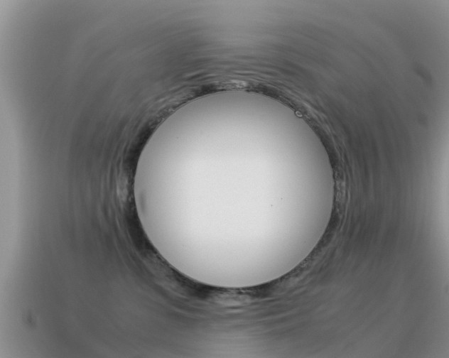 X0000115500331200911061027