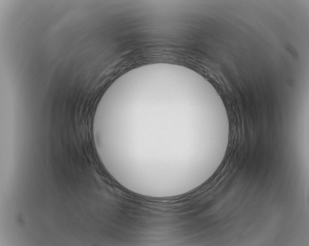 X0000115500332200911061027