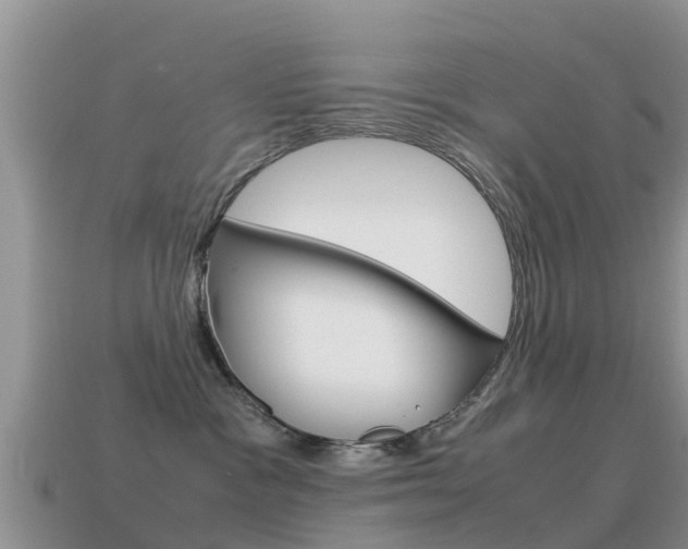 X0000115500333200911061027