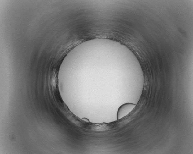 X0000115500334200911061027