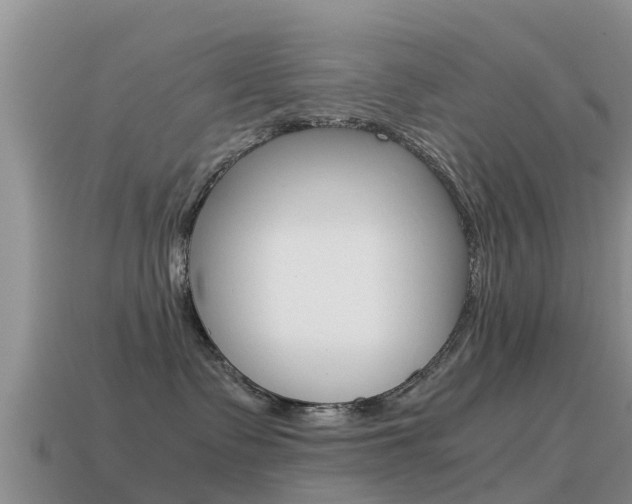X0000115500335200911061027