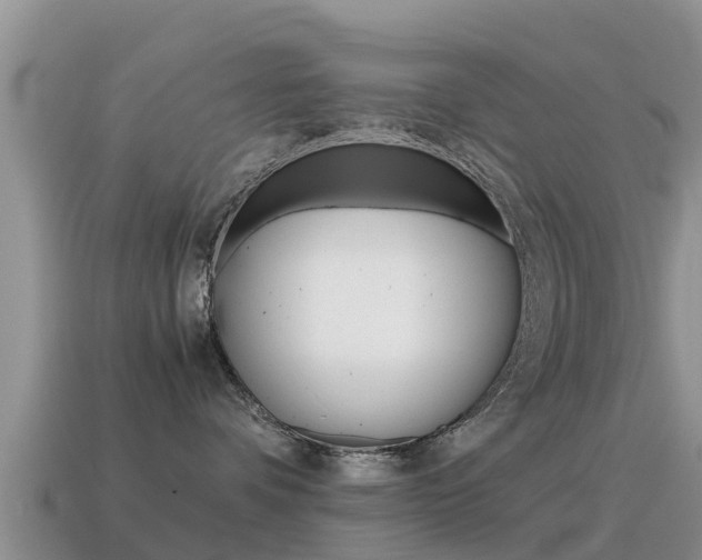 X0000115500336200911061027
