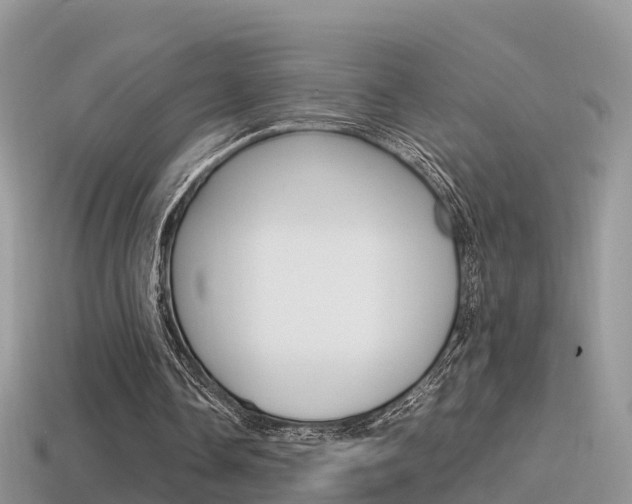 X0000115500338200911061026