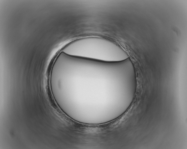 X0000115500342200911061027