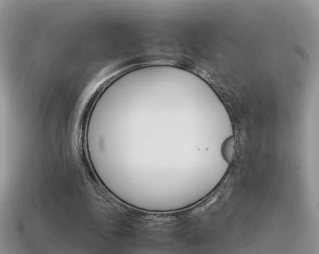 X0000115500343200911061027