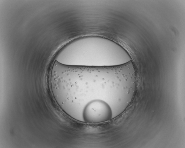 X0000115500346200911061027