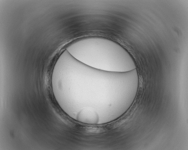 X0000115500347200911061027