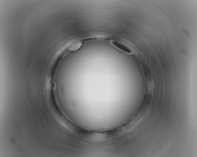 X0000115500350200911061027