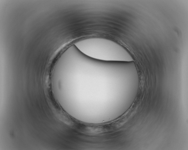 X0000115500351200911061027