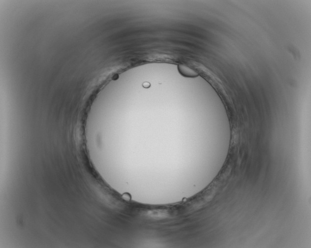 X0000115500353200911061027