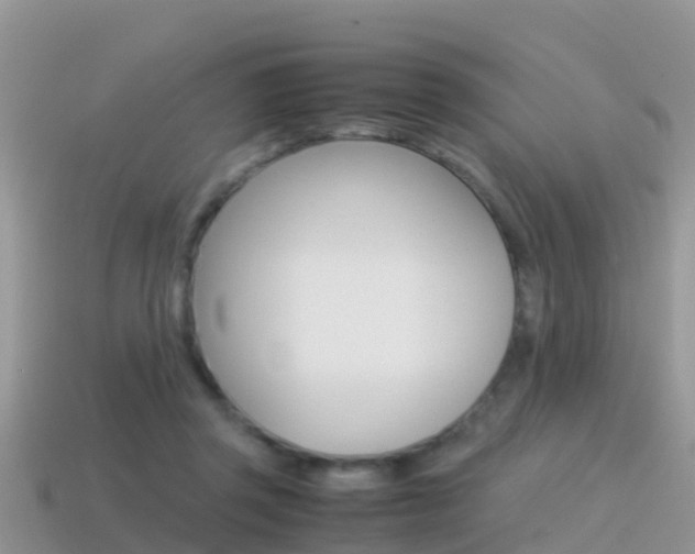 X0000115500357200911061027