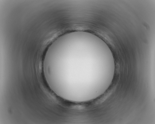 X0000115500358200911061027