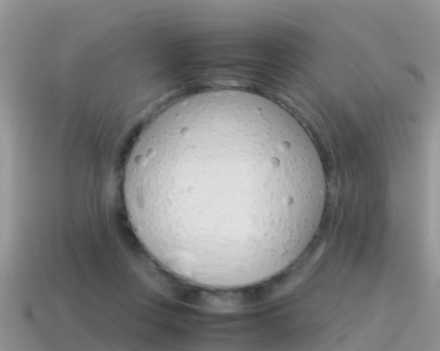 X0000115500359200911061027