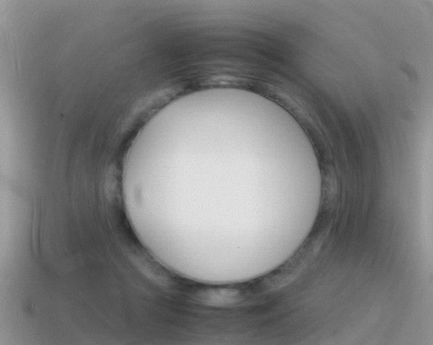 X0000115500361200911061027