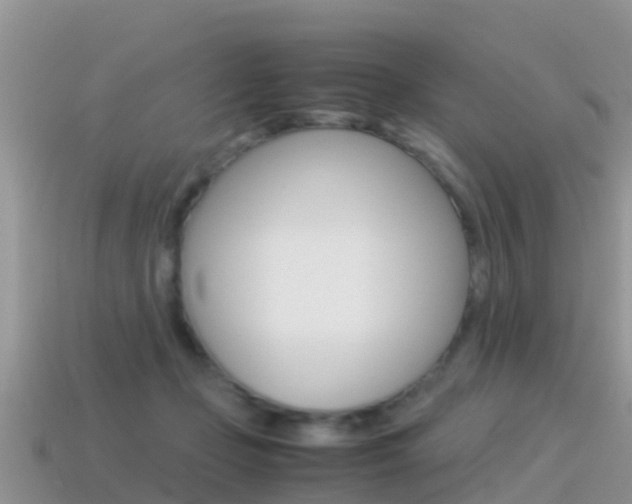 X0000115500365200911061027