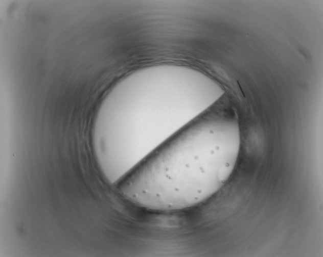 X0000115500366200911061027