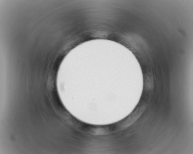 X0000115500370200911061027