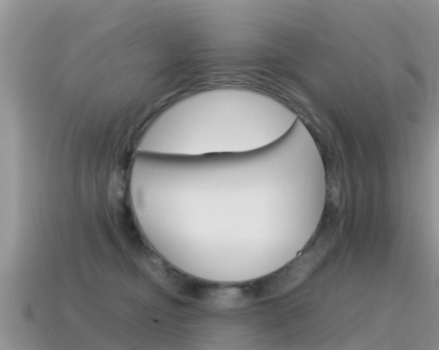 X0000115500374200911061027