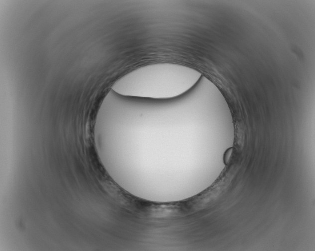 X0000115500378200911061027