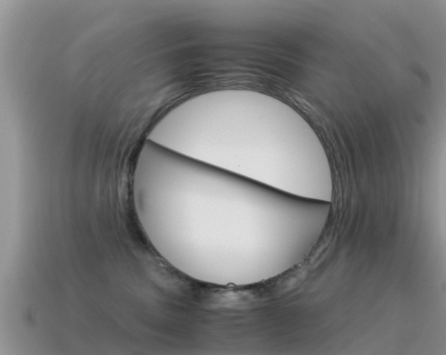 X0000115500379200911061027
