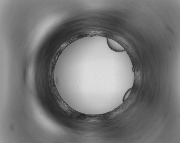 X0000115500381200911061027