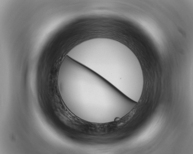 X0000115500383200911061027
