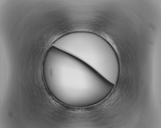 X0000115500385200911061026