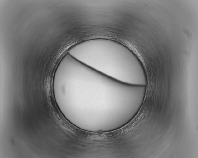 X0000115500386200911061026