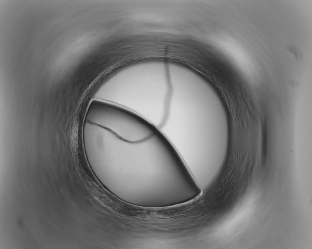 X0000115500387200911061026