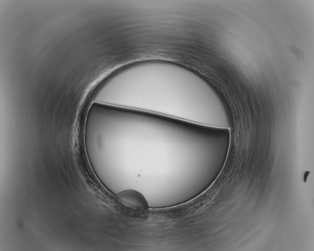 X0000115500388200911061026