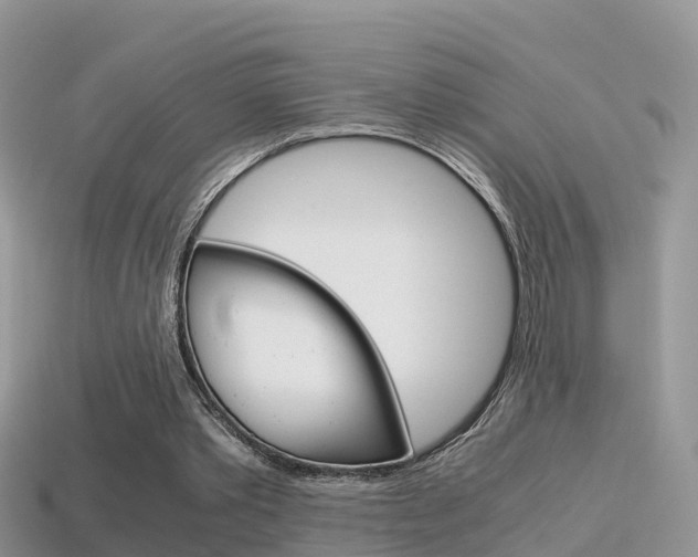 X0000115500389200911061026
