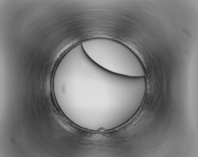 X0000115500390200911061026