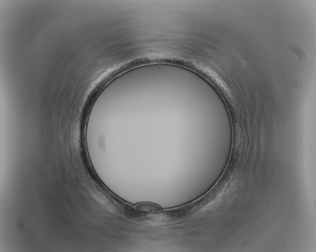 X0000115500391200911061026