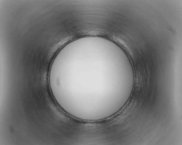 X0000115500394200911061026