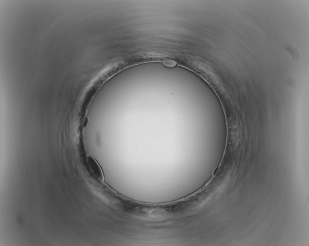 X0000115500395200911061026