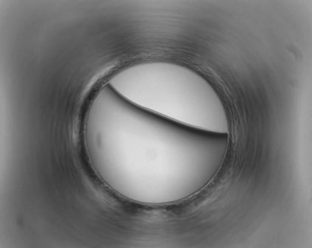 X0000115500396200911061026