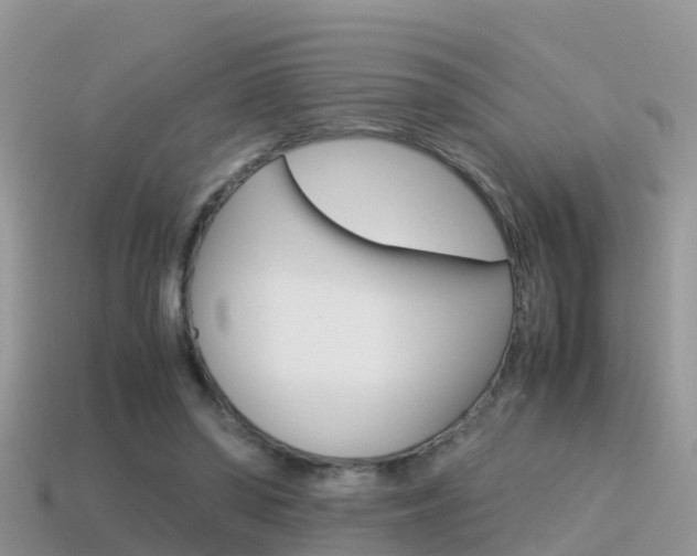X0000115500398200911061026